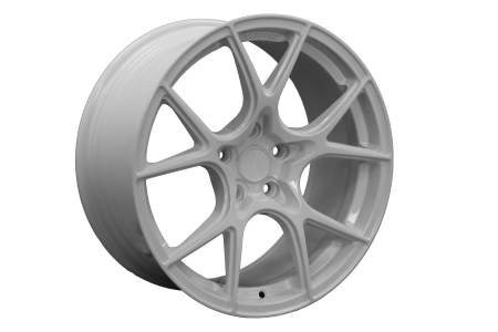 FR01-2D1--FR0189554538GW